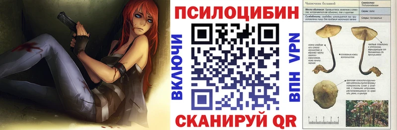 Галлюциногенные грибы Psilocybe  Кологрив 