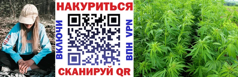 Бошки Шишки Ganja  Кологрив 